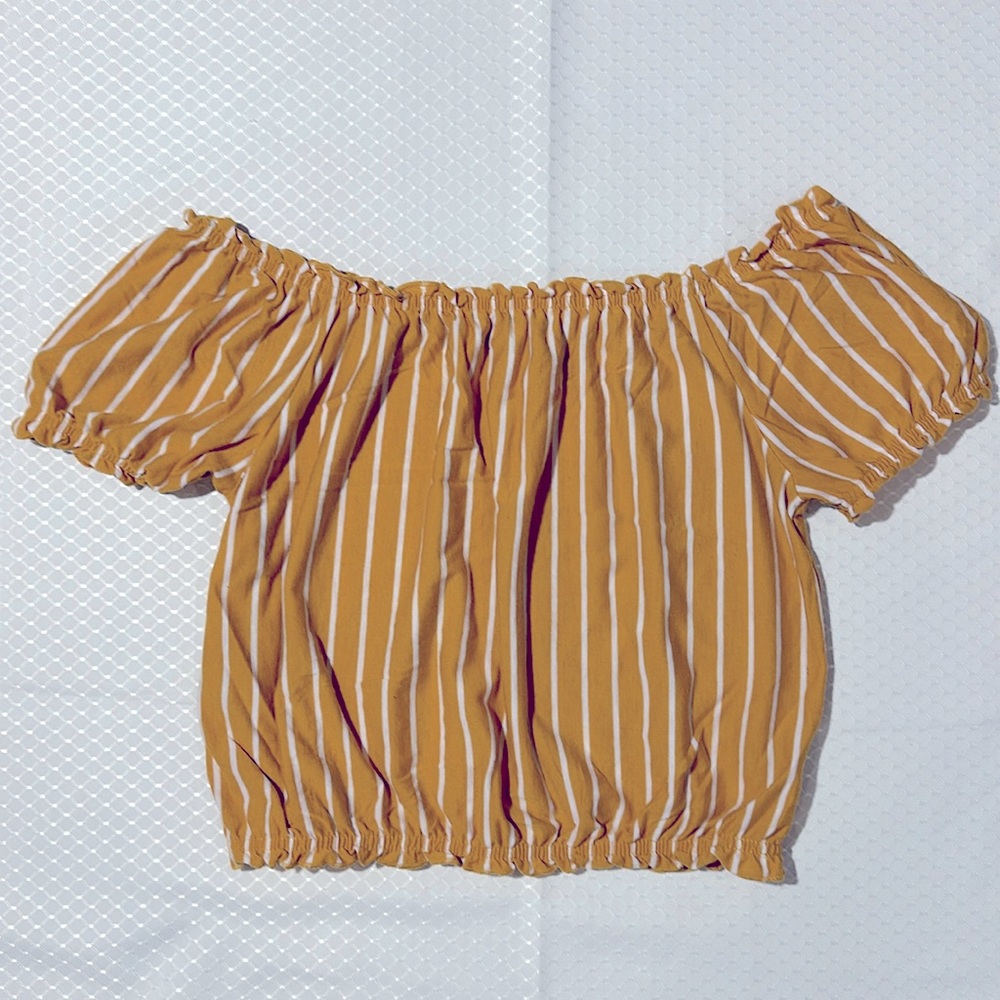American Eagle cropped, off the shoulder or on the shoulder, elastic bottom